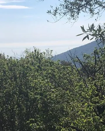 Appartamento Chez Aurele Santa-Maria-di-Lota Esterno foto