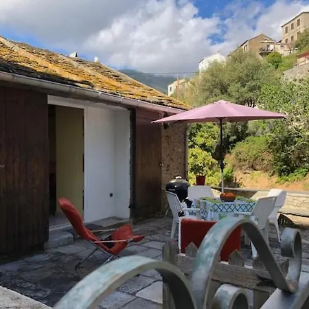 Appartamento Chez Aurele Santa-Maria-di-Lota Esterno foto