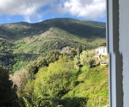 Appartamento Chez Aurele Santa-Maria-di-Lota Esterno foto